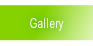 Gallery.